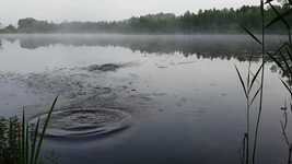 Free download Lake Fog Stone -  free video to be edited with OpenShot online video editor