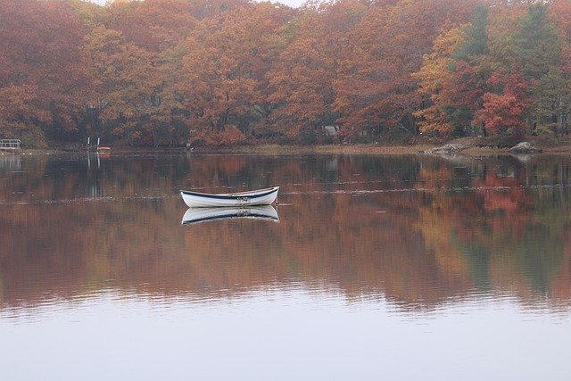 免费下载森林湖秋季倒影免费图片可使用 GIMP 免费在线图像编辑器进行编辑