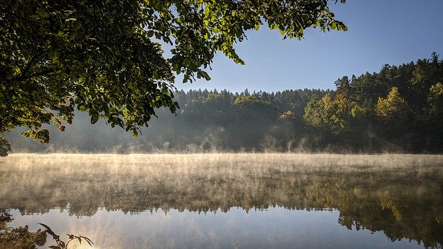 دانلود رایگان عکس دریاچه جنگل صبح صبح مه اروپا برای ویرایش با ویرایشگر تصویر آنلاین رایگان GIMP