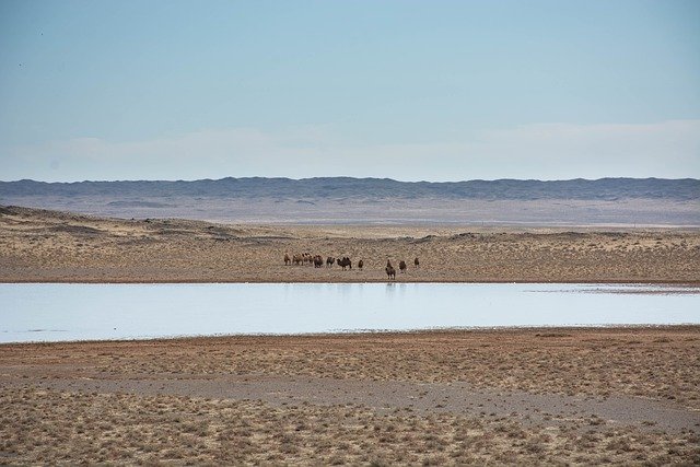 Download gratuito lago gobi mongolia natura immagine gratuita da modificare con l'editor di immagini online gratuito di GIMP