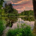 Lake in the middle of the forest  screen for extension Chrome web store in OffiDocs Chromium