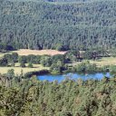 lake in the middle of the green forest  screen for extension Chrome web store in OffiDocs Chromium