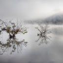 Lake mirage early morning  screen for extension Chrome web store in OffiDocs Chromium