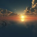 Lake of tree branches and sun  screen for extension Chrome web store in OffiDocs Chromium
