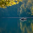 Lake of trees and rocks  screen for extension Chrome web store in OffiDocs Chromium