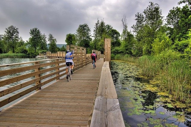 Descargue gratis la imagen gratuita de la pista para bicicletas del camino peatonal del lago para editar con el editor de imágenes en línea gratuito GIMP