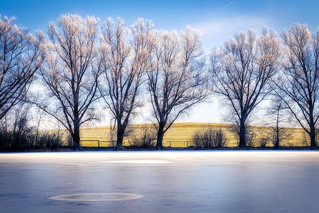 Free download lake pond frozen winter trees free picture to be edited with GIMP free online image editor