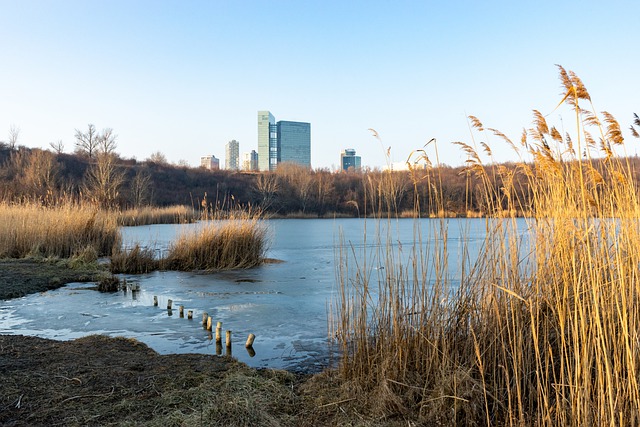 ดาวน์โหลดฟรี lake reeds building ตึกระฟ้า รูปภาพฟรีที่จะแก้ไขด้วย GIMP โปรแกรมแก้ไขรูปภาพออนไลน์ฟรี