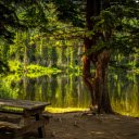 Lake side  screen for extension Chrome web store in OffiDocs Chromium