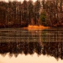 LAKE SURFACE Theme  screen for extension Chrome web store in OffiDocs Chromium