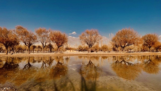 Descargue gratis los árboles del lago en otoño, la temporada de otoño, la imagen gratuita para editar con el editor de imágenes en línea gratuito GIMP