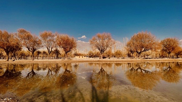 Безкоштовно завантажити озерні дерева в осінній осінній сезон безкоштовно для редагування за допомогою безкоштовного онлайн-редактора зображень GIMP