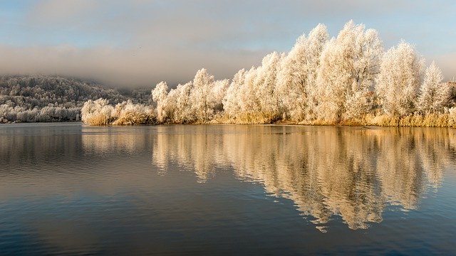 Free download lake trees winter frozen nature free picture to be edited with GIMP free online image editor