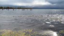 Free download Lake Water Waves -  free video to be edited with OpenShot online video editor