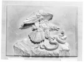 Free download Lammergeier and Serpent free photo or picture to be edited with GIMP online image editor