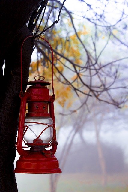 免费下载灯树秋天红色自然免费图片使用 GIMP 免费在线图像编辑器进行编辑