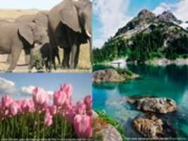 Laden Sie La Naturaleza kostenlos herunter, um ein Foto oder Bild mit dem Online-Bildbearbeitungsprogramm GIMP zu bearbeiten