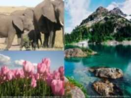 Free download La Naturaleza free photo or picture to be edited with GIMP online image editor