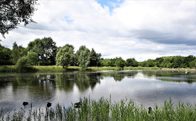Free download landscape lake nature water forest free picture to be edited with GIMP free online image editor