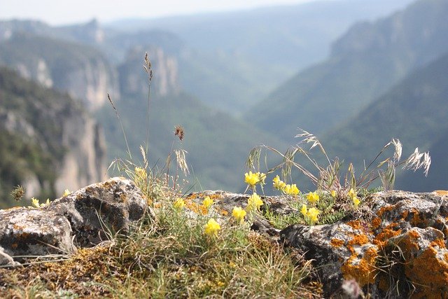Kostenloser Download Landschaft Lozere Frankreich Kostenloses Bild, das mit dem kostenlosen Online-Bildeditor GIMP bearbeitet werden kann