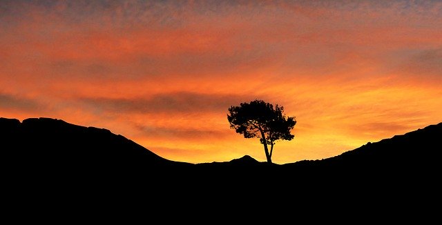 Kostenloser Download Landscape Mountain Trees - kostenloses kostenloses Foto oder Bild zur Bearbeitung mit GIMP Online-Bildbearbeitung