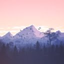 Landscape paintings  screen for extension Chrome web store in OffiDocs Chromium
