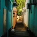 Landscape Photography of an Alley in Brazil  screen for extension Chrome web store in OffiDocs Chromium