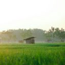 Landscape Photography of a Rice Field  screen for extension Chrome web store in OffiDocs Chromium