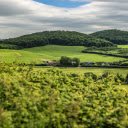 Landscape Photography of a Verdant Countryside  screen for extension Chrome web store in OffiDocs Chromium