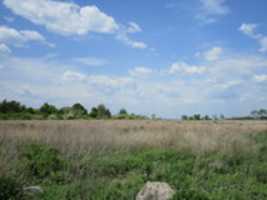 Free download Landscapes at Seapowet Marsh free photo or picture to be edited with GIMP online image editor