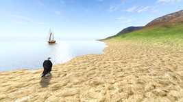 Free download Landscape Sea Bird -  free video to be edited with OpenShot online video editor