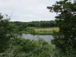 Free download Landscapes from Norman Bird Sanctuary free photo or picture to be edited with GIMP online image editor