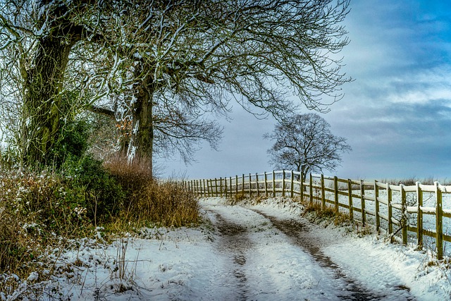 Free download landscape winter path pathway free picture to be edited with GIMP free online image editor