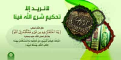 Free download Lanreed.illa.alshr3 free photo or picture to be edited with GIMP online image editor