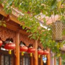 Lantern on the tree  screen for extension Chrome web store in OffiDocs Chromium