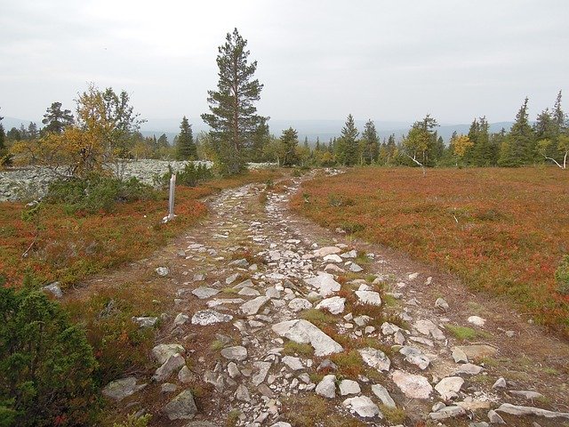 Unduh gratis gambar alam musim gugur lapland finlandia untuk diedit dengan editor gambar online gratis GIMP