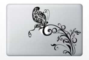 Free download Laptop Decal - Everywhere Decals free photo or picture to be edited with GIMP online image editor