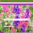 Larkspur  screen for extension Chrome web store in OffiDocs Chromium