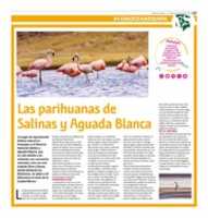 Free download Las parihuanas de Salinas y Aguada Blanca free photo or picture to be edited with GIMP online image editor