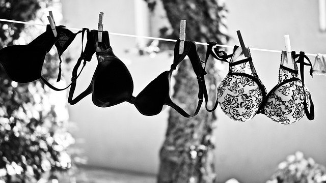 Free download laundry airy cleaned up clothing free picture to be edited with GIMP free online image editor
