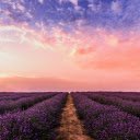 Lavender Sunset Dream  screen for extension Chrome web store in OffiDocs Chromium