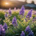 Lavender Wallpaper  screen for extension Chrome web store in OffiDocs Chromium