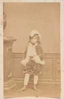 Free download La veste de Cygne (autre) free photo or picture to be edited with GIMP online image editor