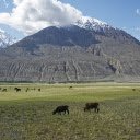 Lawn under the mountain  screen for extension Chrome web store in OffiDocs Chromium