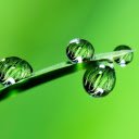 Leaf and water drop  screen for extension Chrome web store in OffiDocs Chromium