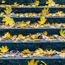Leaves fall on the steps  screen for extension Chrome web store in OffiDocs Chromium