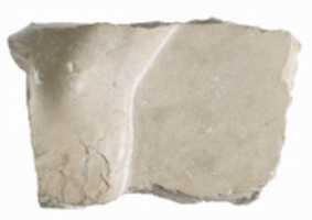 Free download Left foot fragment free photo or picture to be edited with GIMP online image editor
