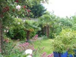 Free download Le Jardin D Alain Feuillerat 2eme free photo or picture to be edited with GIMP online image editor
