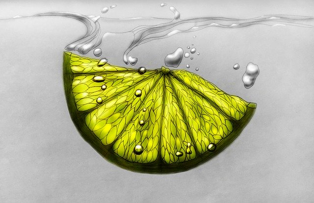 Free download Lemon Lobule Lime free illustration to be edited with GIMP online image editor