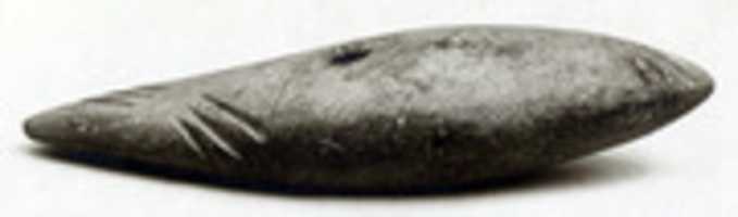 Free download Lenticular mace-head free photo or picture to be edited with GIMP online image editor